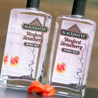 Blackwater Strawberry Irish Gin - Gourmet-Butikken