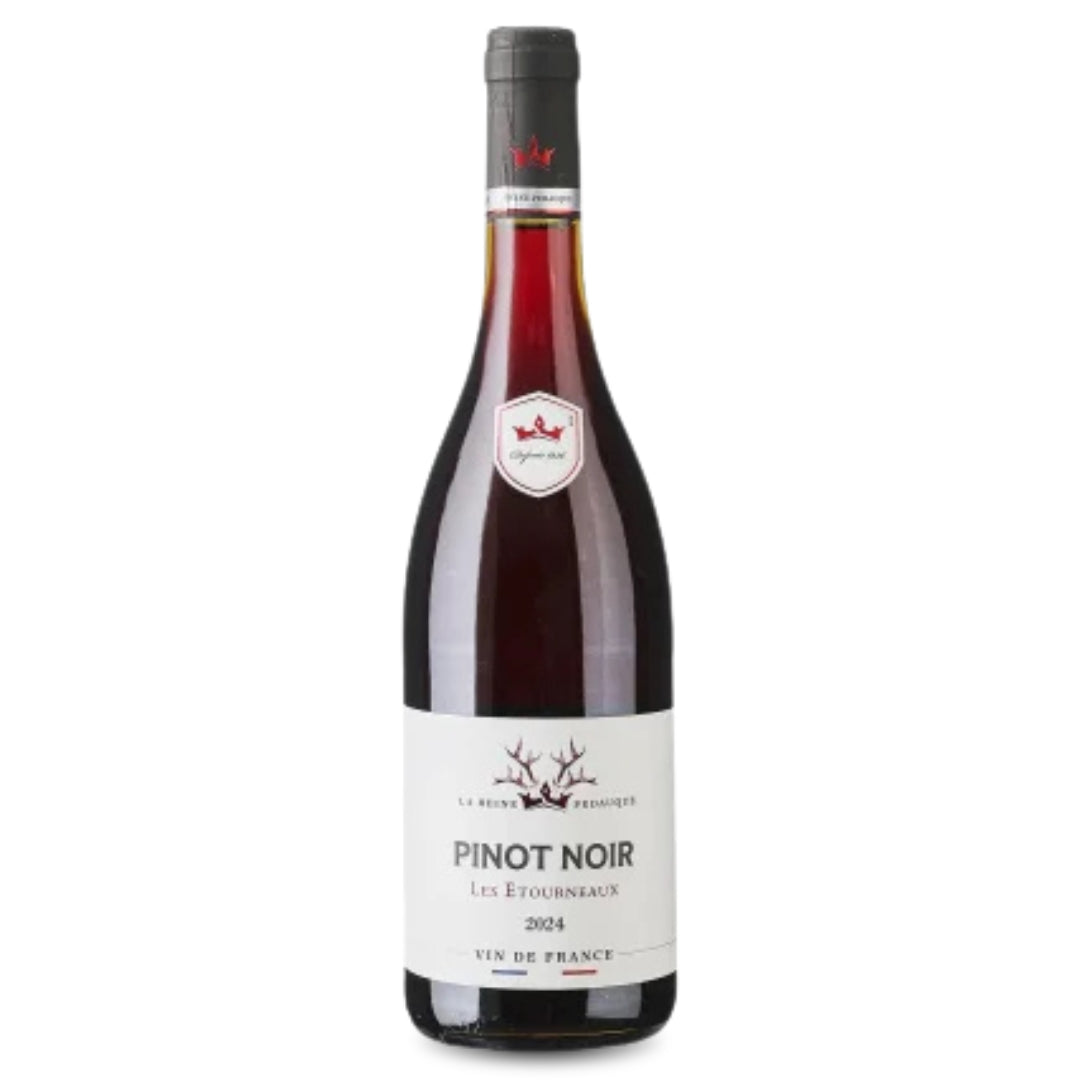 Le Reine Pedauque Pinot Noir 2024