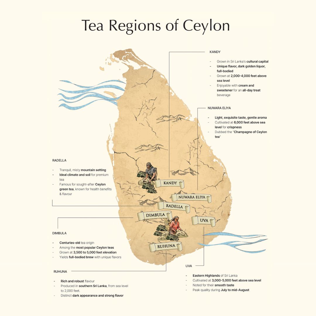 Stor Ceylon White Te bog i metal - Basilur Tea - Gourmet-Butikken