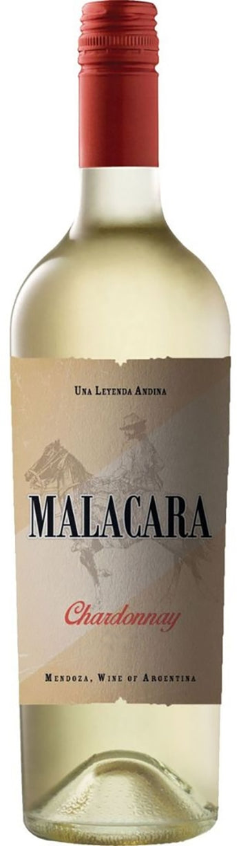 Malacara Chardonnay 2019 - Gourmet-Butikken